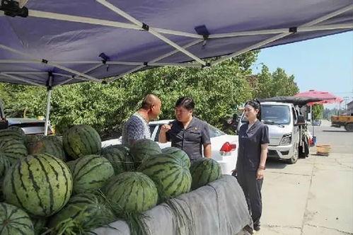 廊坊文安网红吃瓜事件,揭秘网络舆论的风暴与真相 第2张 廊坊文安网红吃瓜事件,揭秘网络舆论的风暴与真相 第2张