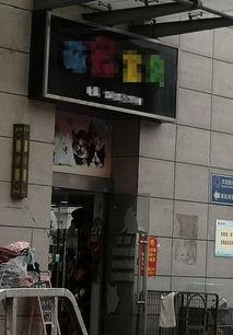 保定宠物店爆料视频,揭秘宠物行业背后真相